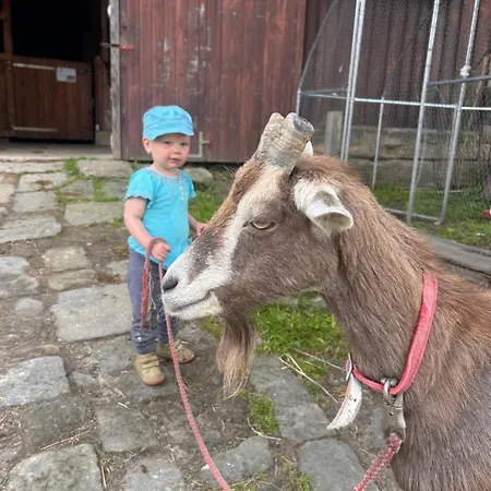 Reiter- Und Wacker Lejlighed